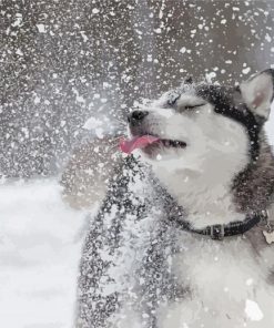 Cute Dog In Snow Paint By Numbers