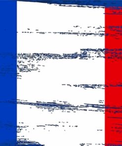 France Flag Art Paint By Numbers