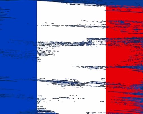 France Flag Art Paint By Numbers