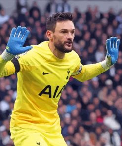 Goalkeeper Hugo Lloris Paint By Numbers