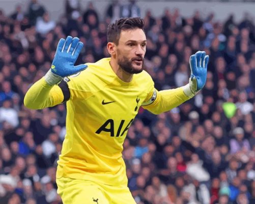 Goalkeeper Hugo Lloris Paint By Numbers