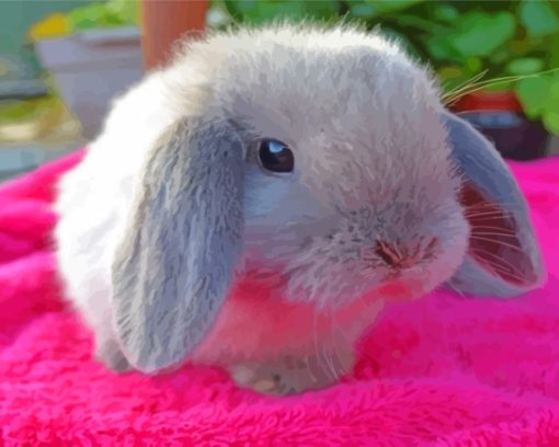 Grey Cute Baby Bunnies Paint By Numbers