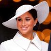 Meghan Markle Paint By Numbers