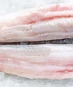 Pescaluna Fresh Hake Fillets Paint By Numbers