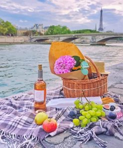 Picnic In Paris France Paint By Numbers