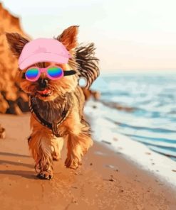 Puppy With Summer Hat In Beach Paint By Numbers