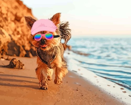 Puppy With Summer Hat In Beach Paint By Numbers