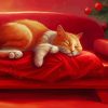 Sleepy Xmas Cat Paint By Numbers