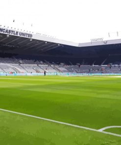 Stadium Newcastle Football Paint By Numbers