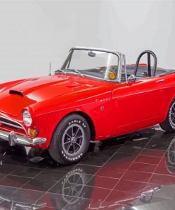 Sunbeam Tiger Sports Roadster Paint By Numbers