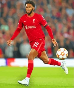 The Player Joe Gomez Paint By Numbers