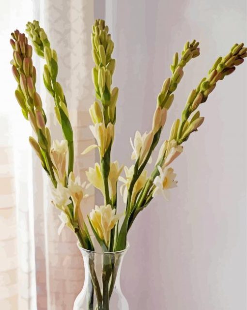 Tuberose In Vase Paint By Numbers