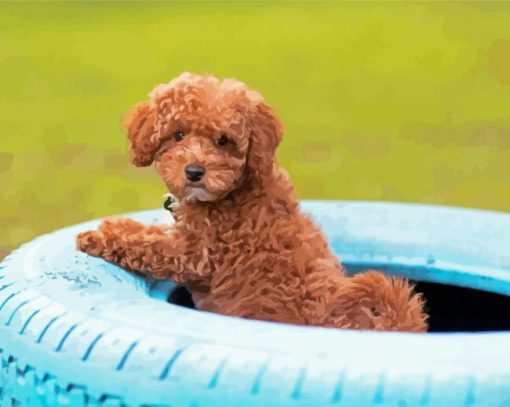 Whoodle Puppy In Tire Paint By Numbers