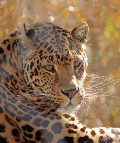 Wild Leopard Paint By Numbers