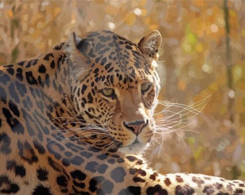 Wild Leopard Paint By Numbers