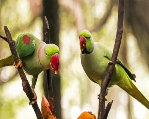 Alexandrine Parakeet Birds Paint By Numbers