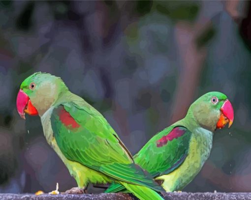 Alexandrine Parakeets Paint By Numbers