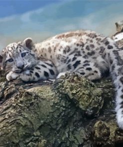 Baby Snow Leopard On Treeon Branch Paint By Numbers