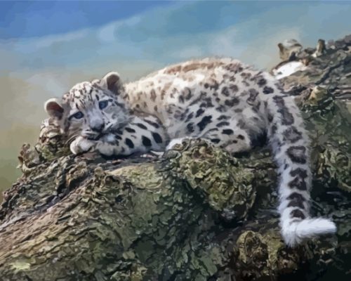 Baby Snow Leopard On Treeon Branch Paint By Numbers