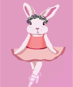 Ballerina Bunny Paint By Numbers