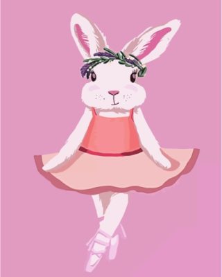 Ballerina Bunny Paint By Numbers