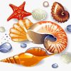 Beach Cartoon Shells Paint By Numbers