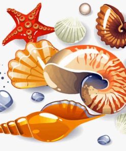 Beach Cartoon Shells Paint By Numbers