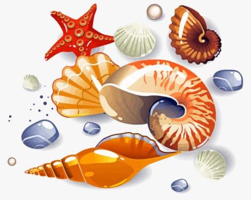 Beach Cartoon Shells Paint By Numbers