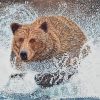 Bear Running In Water Paint By Numbers