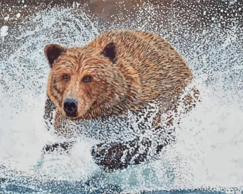 Bear Running In Water Paint By Numbers