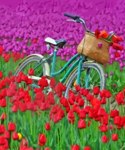 Bicycle And Tulip Field Paint By Numbers