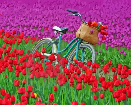 Bicycle And Tulip Field Paint By Numbers