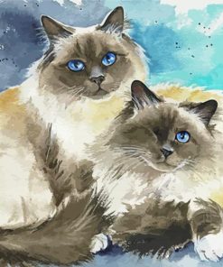 Birman Cats Paint By Numbers