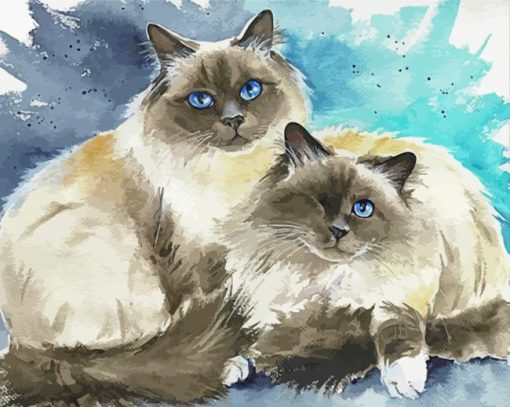 Birman Cats Paint By Numbers