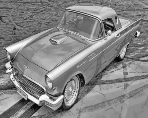 Black And White 57 Thunderbird Car Paint By Numbers