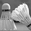 Black And White Badminton Shuttlecock Paint By Numbers