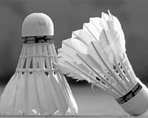 Black And White Badminton Shuttlecock Paint By Numbers