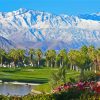 California Palm Desert Paint By Numbers