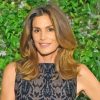 Cindy Crawford Paint By Numbers