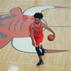 Coby White Chicago Bulls Team Paint By Numbers