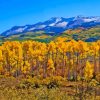 Colorado With Aspen Trees In Autumn Paint By Numbers