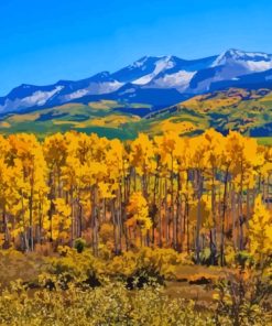 Colorado With Aspen Trees In Autumn Paint By Numbers