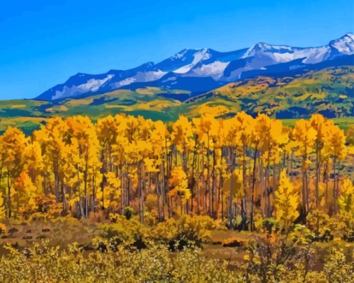 Colorado With Aspen Trees In Autumn Paint By Numbers