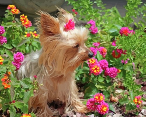 Cute Yorkshire Terrier And Pink Flowers Paint By Numbers