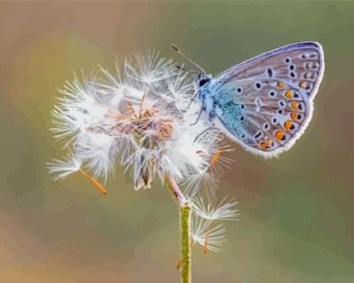 Dandelion Butterflies Paint By Numbers