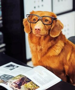 Dog With Glasses And Magazine Paint By Numbers