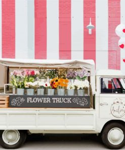 Flowers In White Truck Paint By Numbers