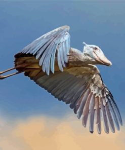 Flying Shoebill Paint By Numbers