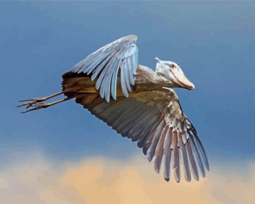 Flying Shoebill Paint By Numbers