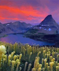 Glacier National Park Beargrass Plants Paint By Numbers